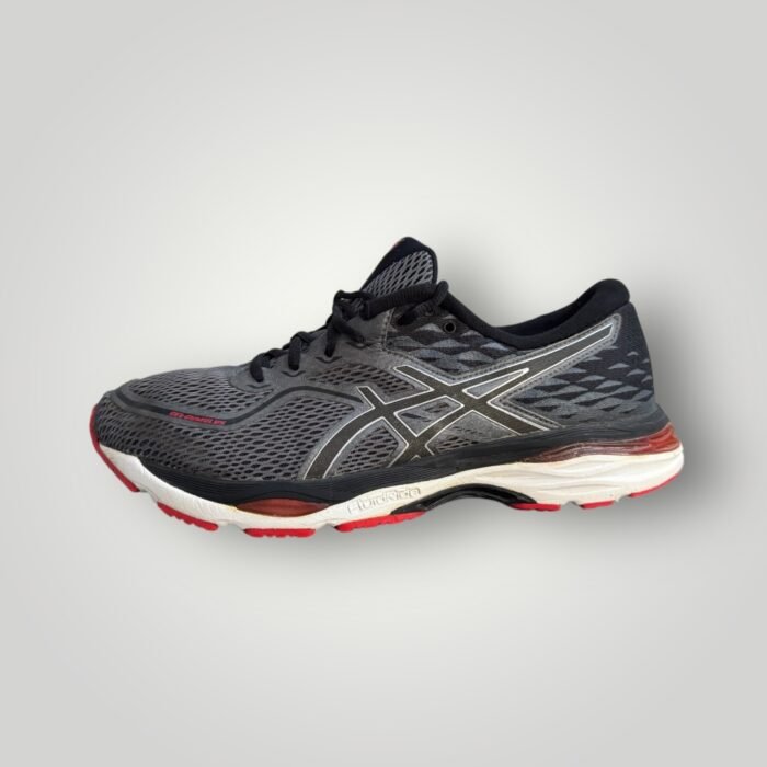 ASICS GEL CUMULUS 19 - Image 1