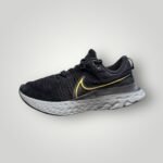 NIKE REACT INFINITY RUN FLYKNIT 2