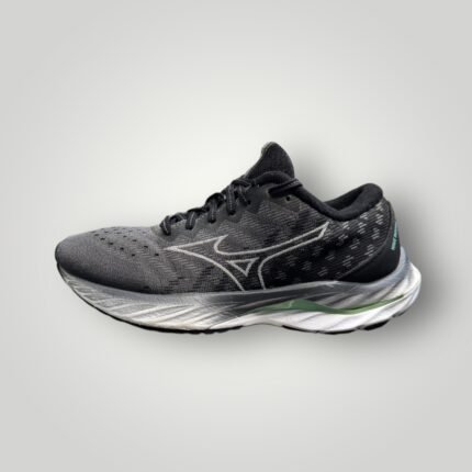 MIZUNO WAVE INSPIRE 19